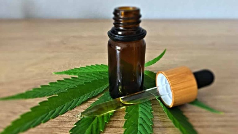 Best CBD Oil for Your Wellness