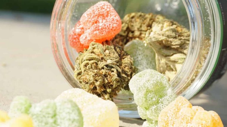 Best CBD Edibles Marketplace