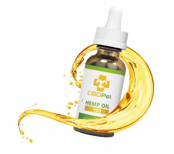 CBD Oil for Pets