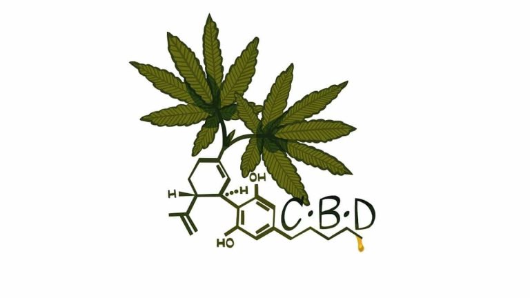 Shop CBD Products for Pain Relief