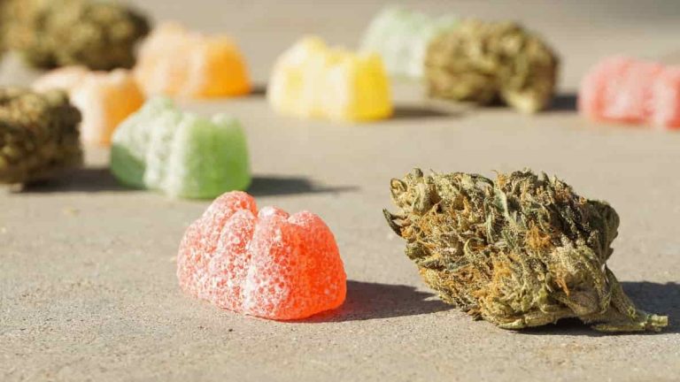 CBD Gummies Benefits