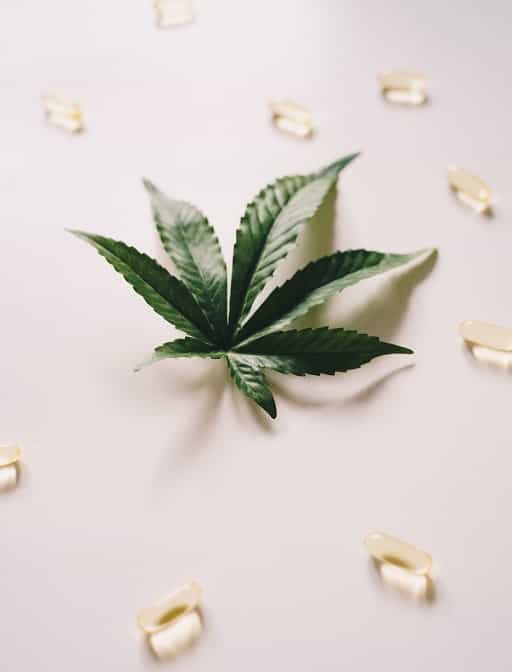 Understanding CBD