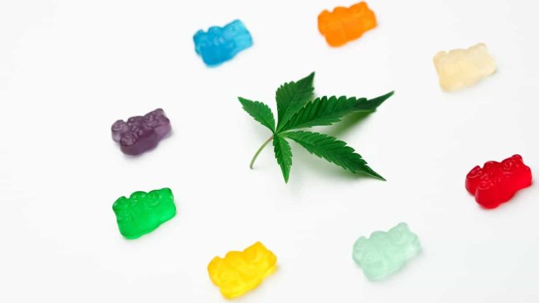 Best CBD Gummies on the Market