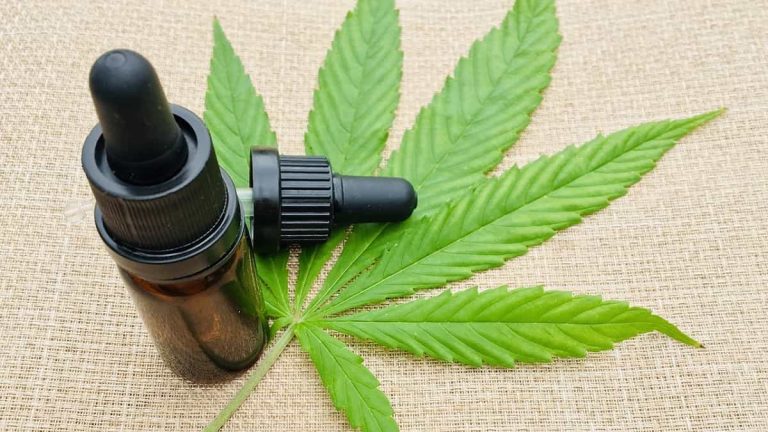 Finding the Best CBD Oil