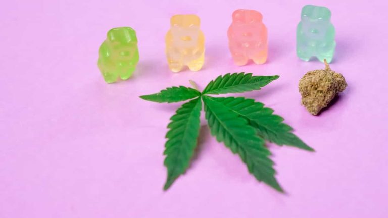 Healing Powers of CBD Gummies