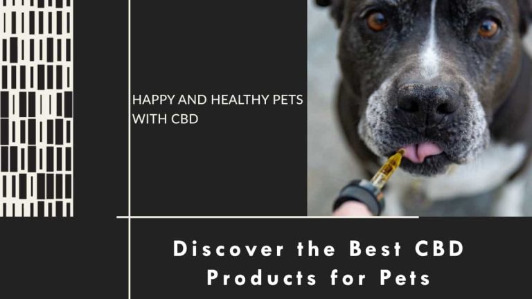 CBD Products for Pets