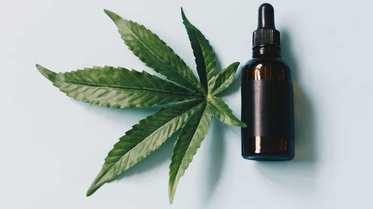 How Brand Reputation Affects CBD Price