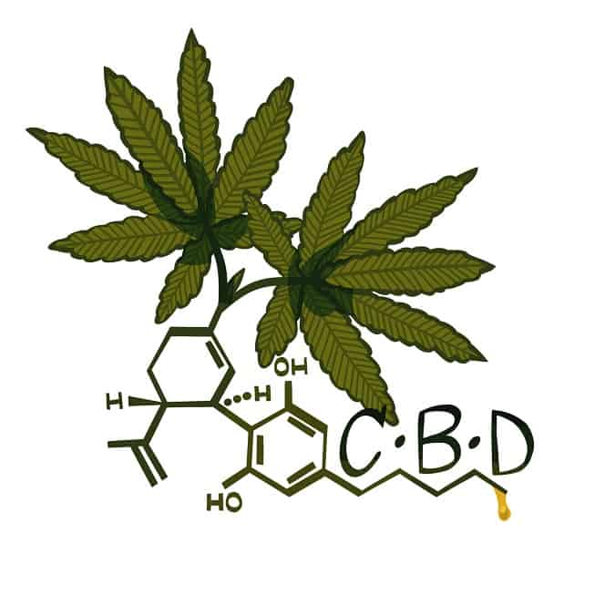 Using CBD as a Nootropic