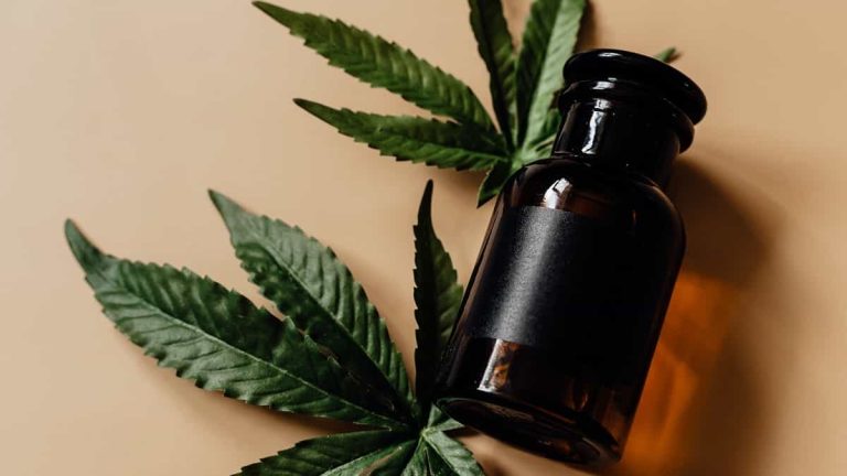 Well-Known CBD Brands