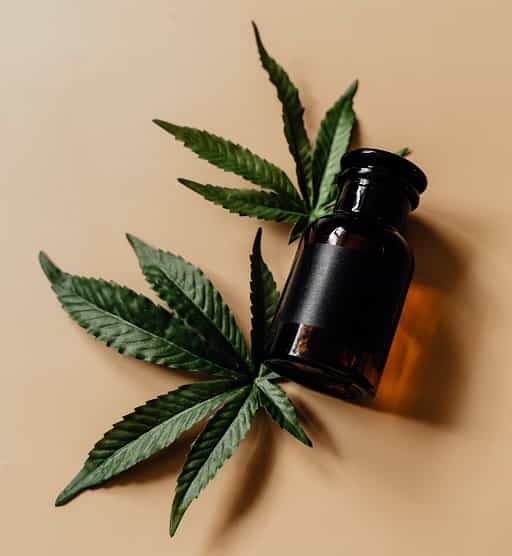 Well-Known CBD Brands