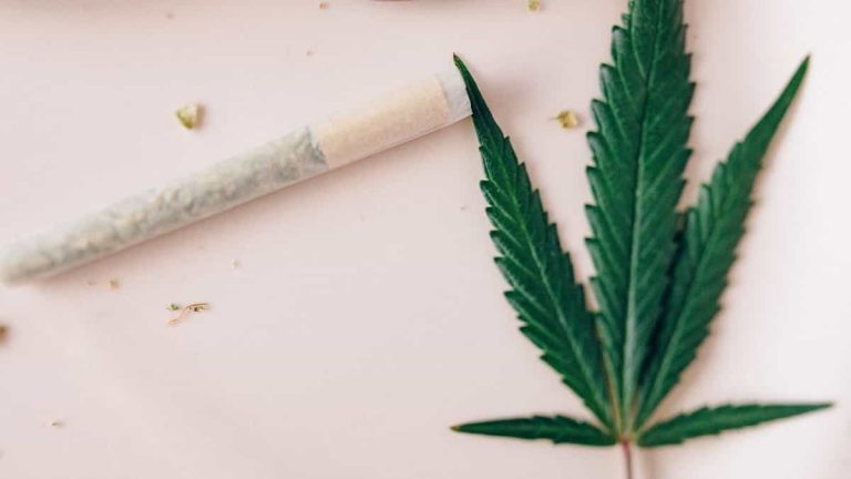 Difference Between Smoking CBD and THC