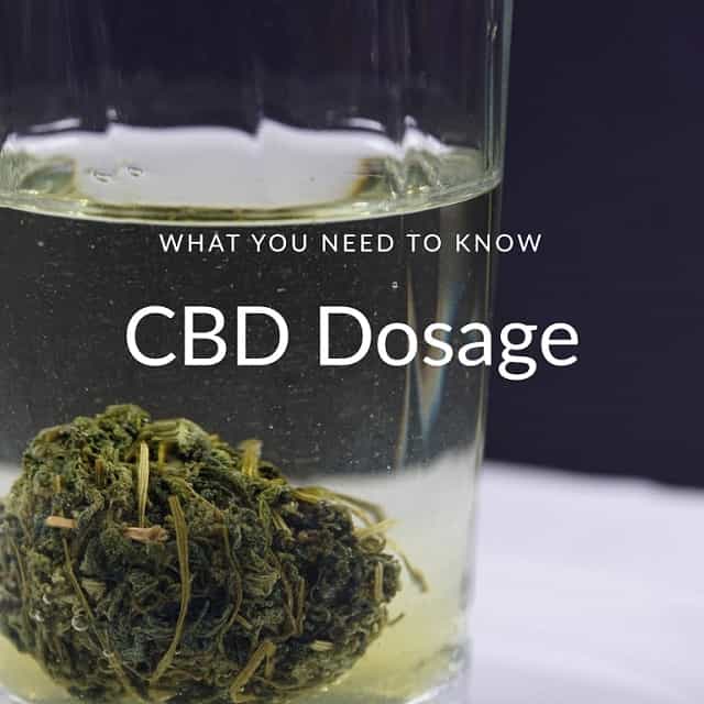 Guidance on CBD Dosage