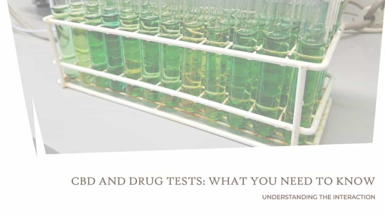 Interaction Between CBD and Drug Tests