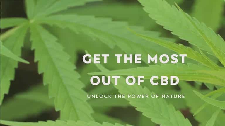 Get the Most out of CBD