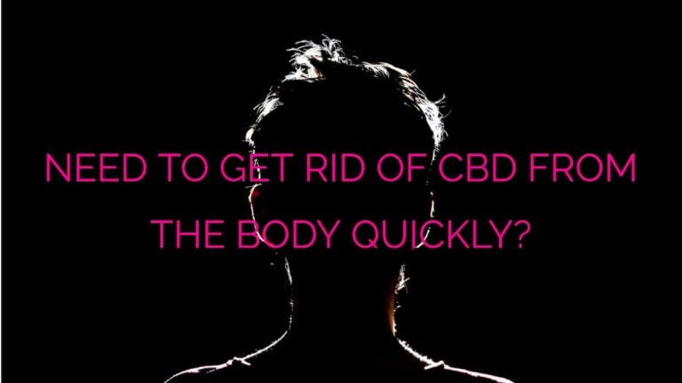 get rid of CBD from the body quickly