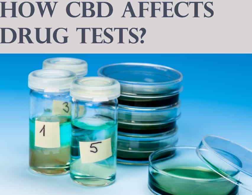 Want to Know How CBD Affects Drug Tests?