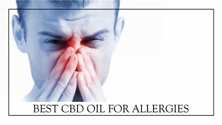 Best CBD Oil for Allergies