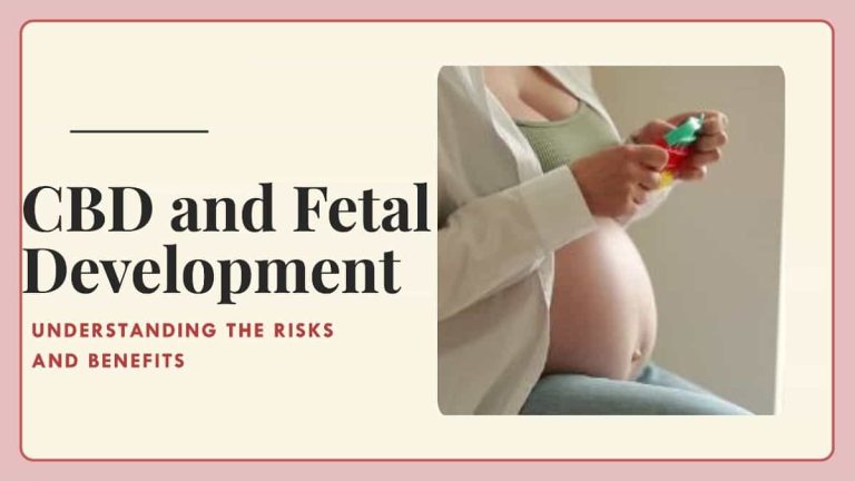 CBD During Fetal Development