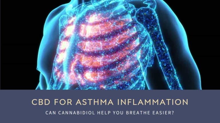 CBD for Asthma Inflammation