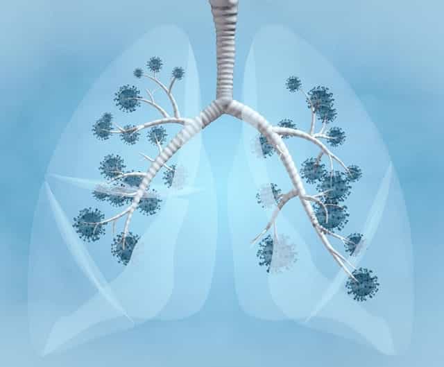 CBD for Respiratory Health