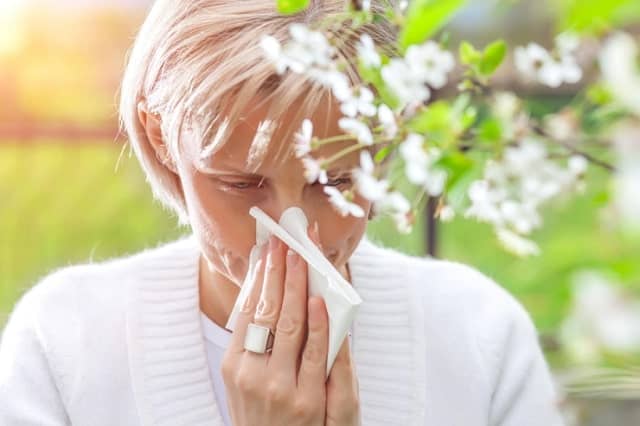 CBD for Seasonal Allergies