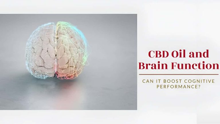 Using CBD Oil to Boost Brain Function