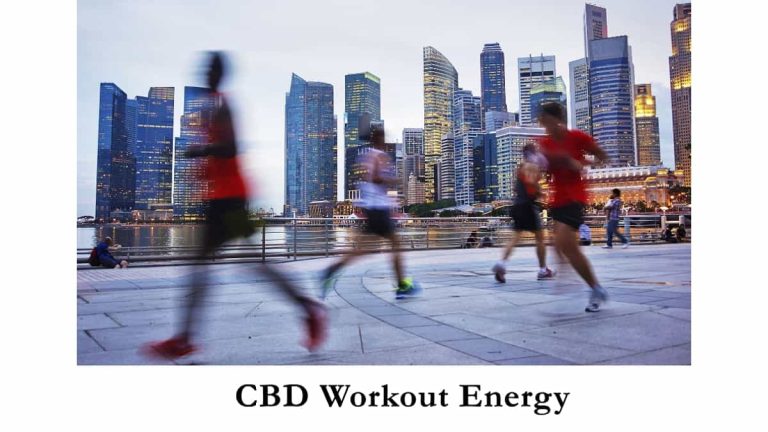 Benefits of CBD for Athletes Workout