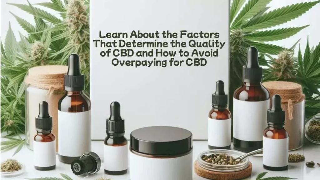 Learn About the Factors That Determine the Quality of CBD and How to Avoid Overpaying for CBD
