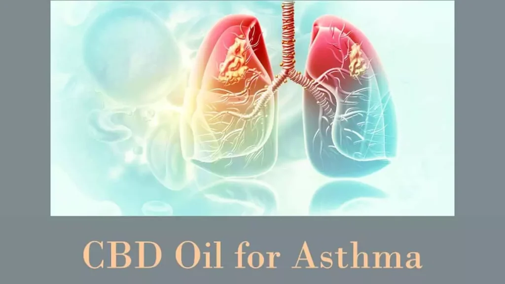 CBD Oil for Asthma: Can It Help Relieve Symptoms?